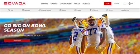 bovada sports betting review
